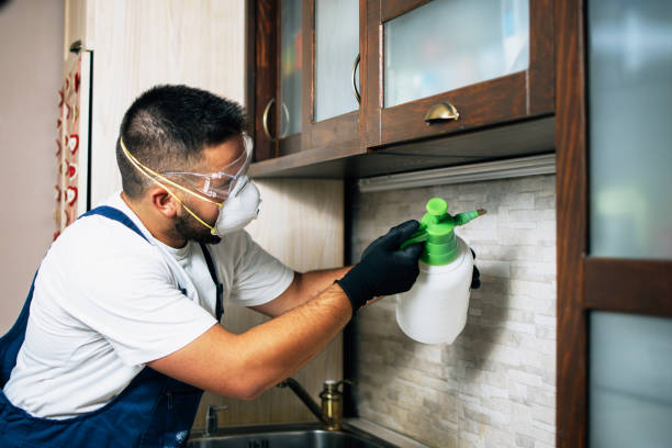 Best Cockroach Control Services  in St Cloud, FL