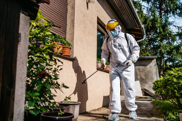 Best Pest Prevention Services  in St Cloud, FL